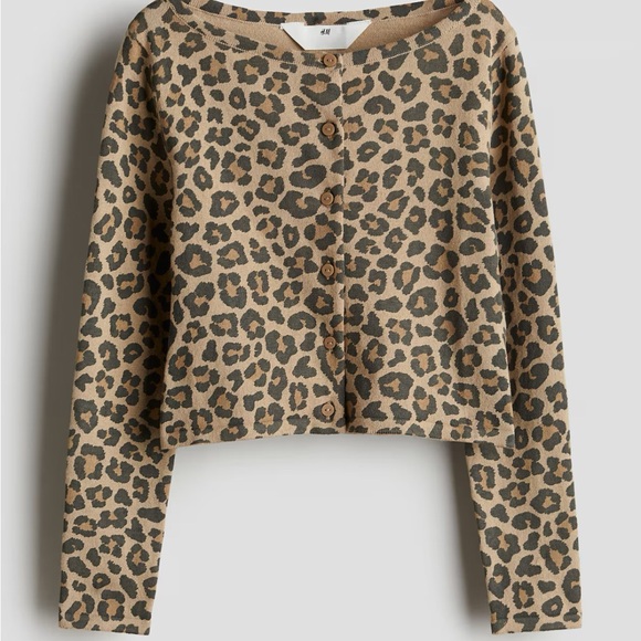 H&M Leopard Print Button-Up Sweater - Picture 1 of 8